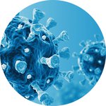 Mesenchymal Stem Cells